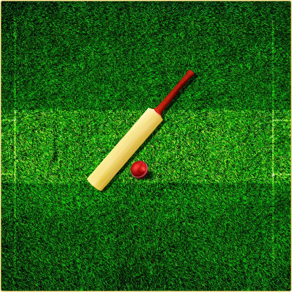 types of cricket pitches