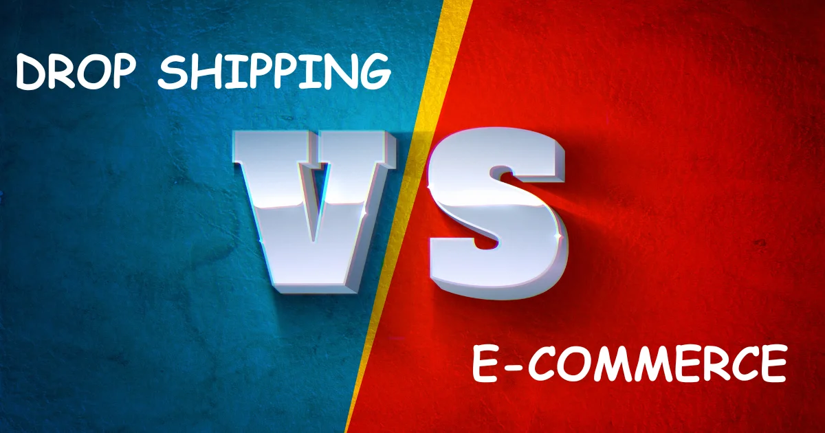 Dropshipping vs E-commerce: Which One Suits You Best?